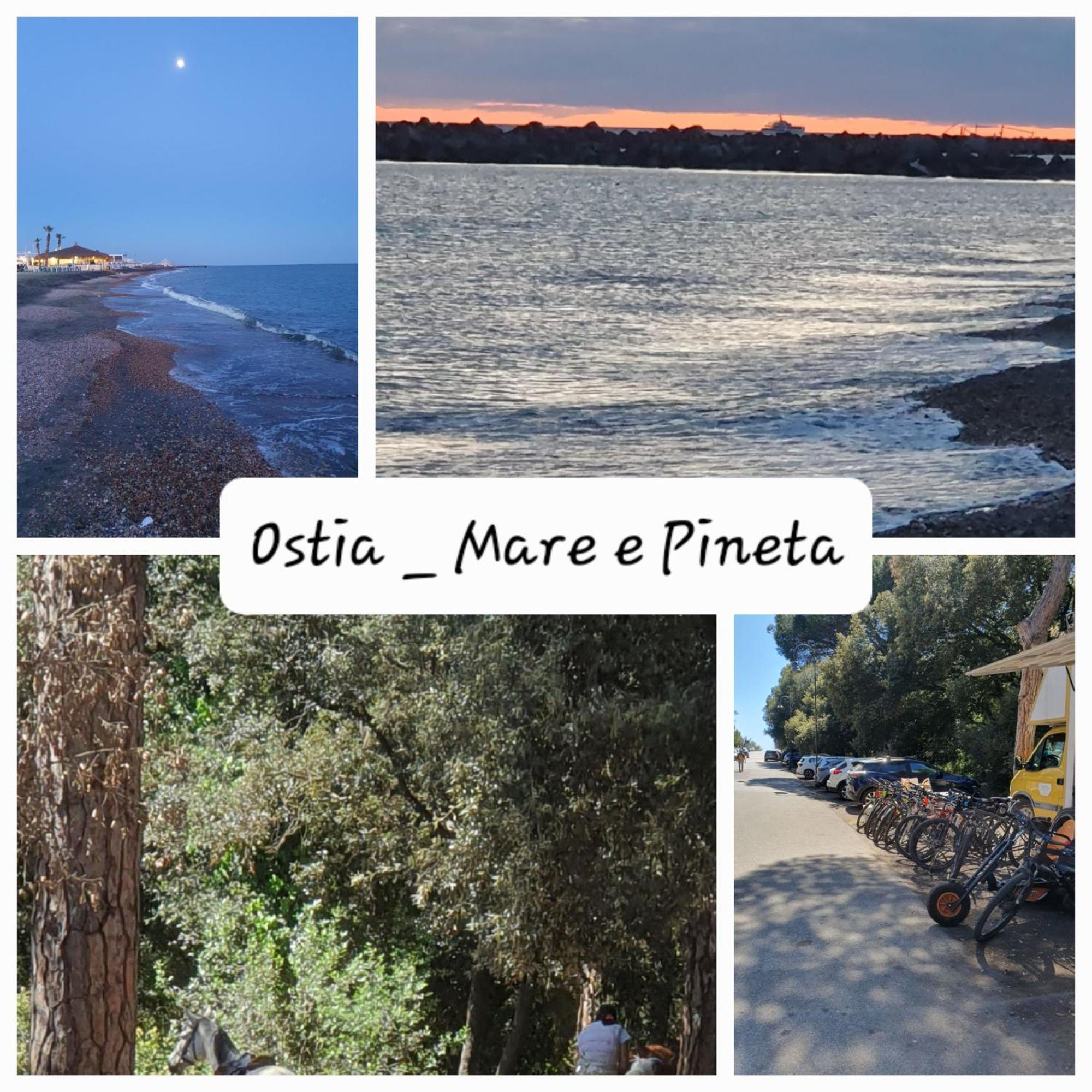 Casa Diana Ostia Daire Dış mekan fotoğraf