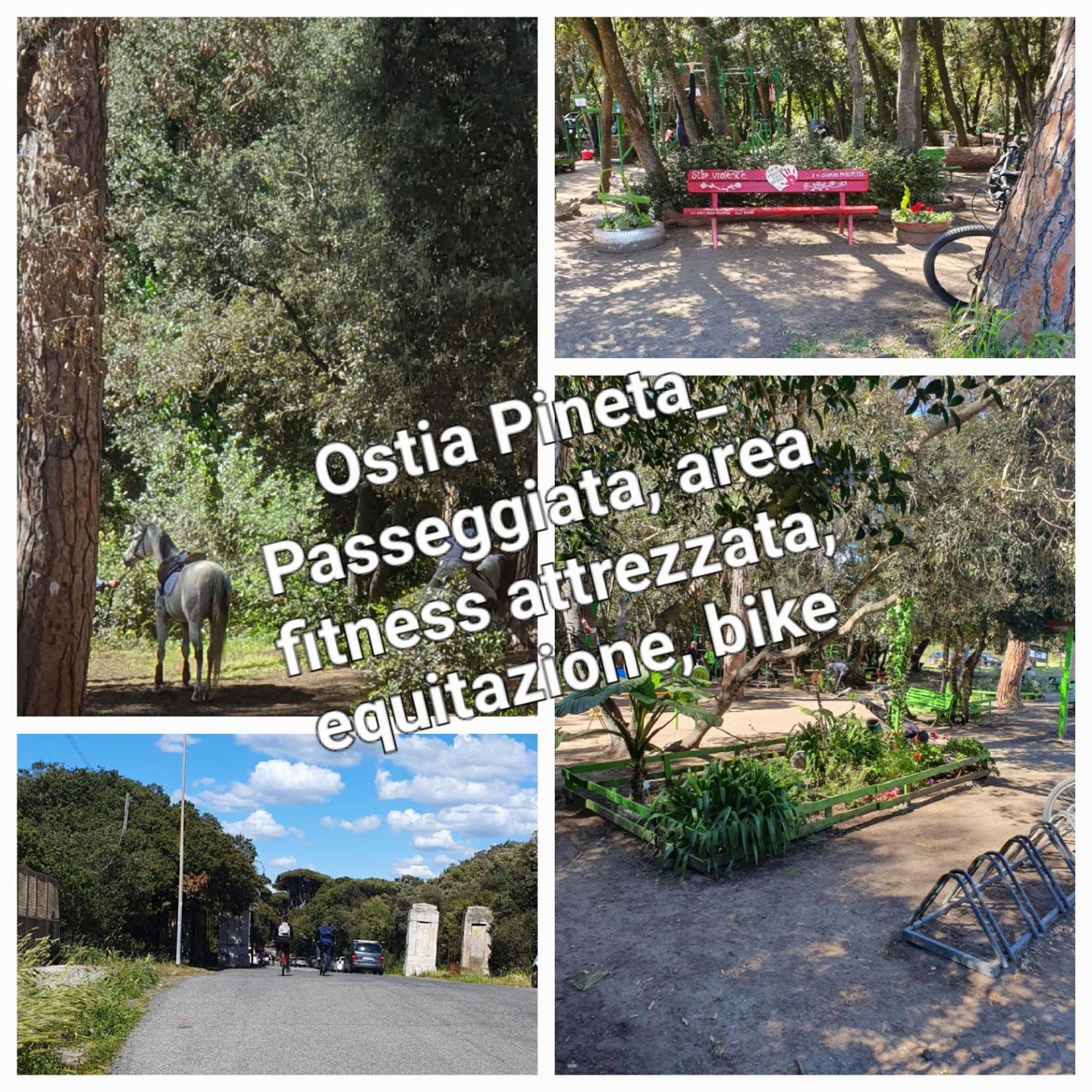 Casa Diana Ostia Daire Dış mekan fotoğraf